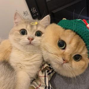 妻子爱上老乞丐小说
