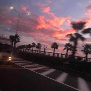 妻子爱上老乞丐小说
