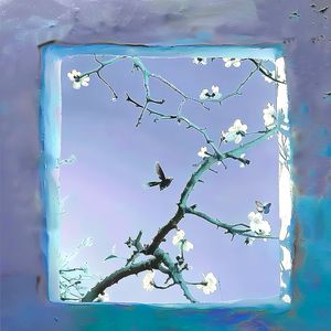 妻子爱上老乞丐小说
