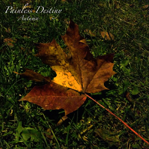 妻子爱上老乞丐小说
